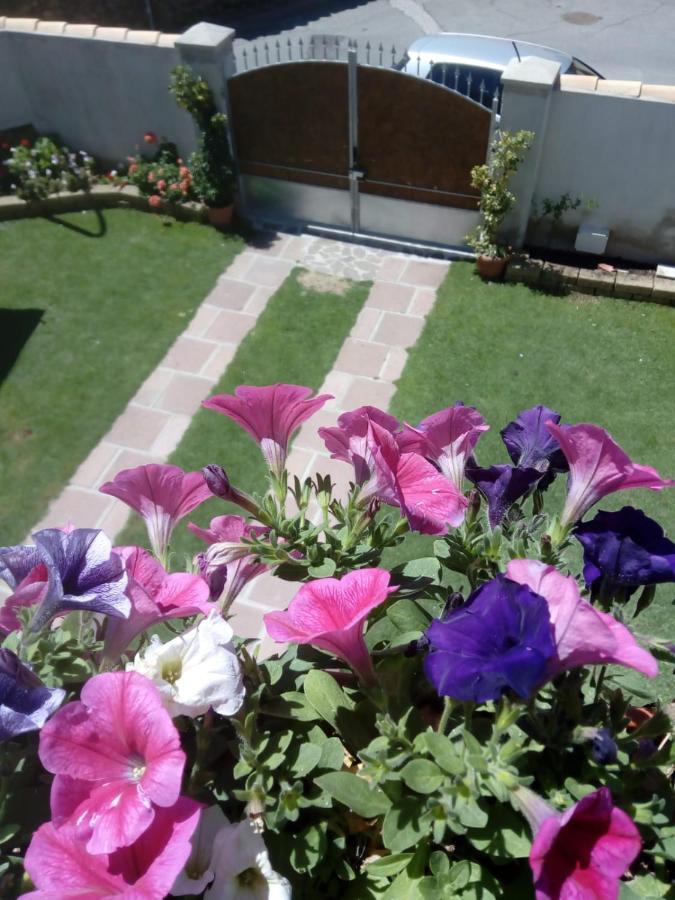 Apartament Casa Rosa Dei Venti Villa San Pietro Zewnętrze zdjęcie